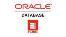 قواعد بيانات اوراكل 12c: البرمجة باستخدام PL/SQL